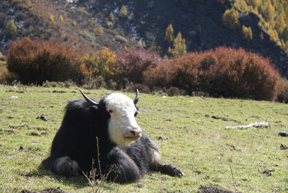 D6484F91-F659-49DC-A4FC-E116C2DE228D-2201-00000334B9902538_tmp