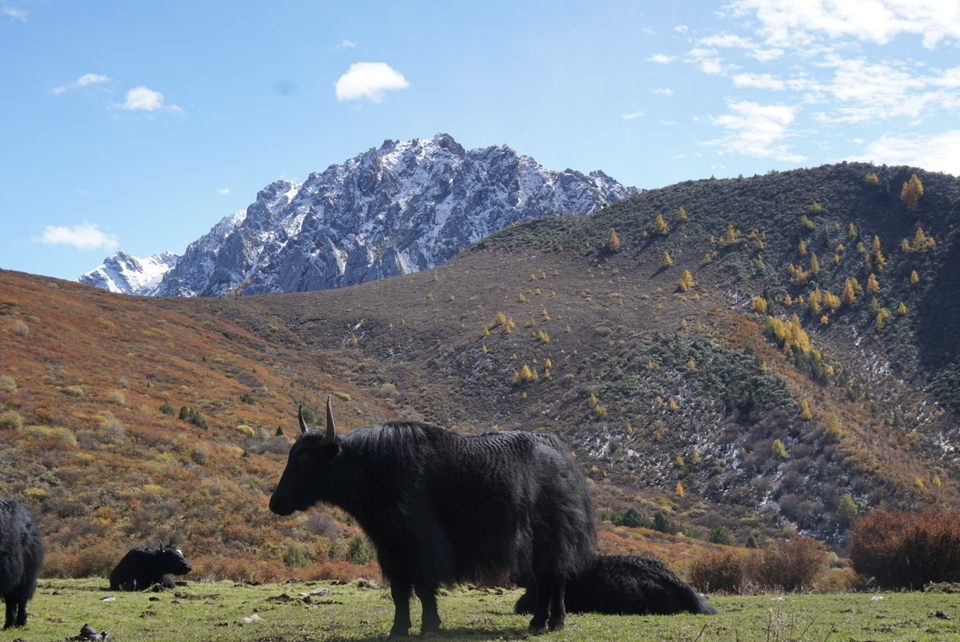 07700189-8ED5-430F-887E-F6A049A55F20-2201-00000334C770E74F_tmp