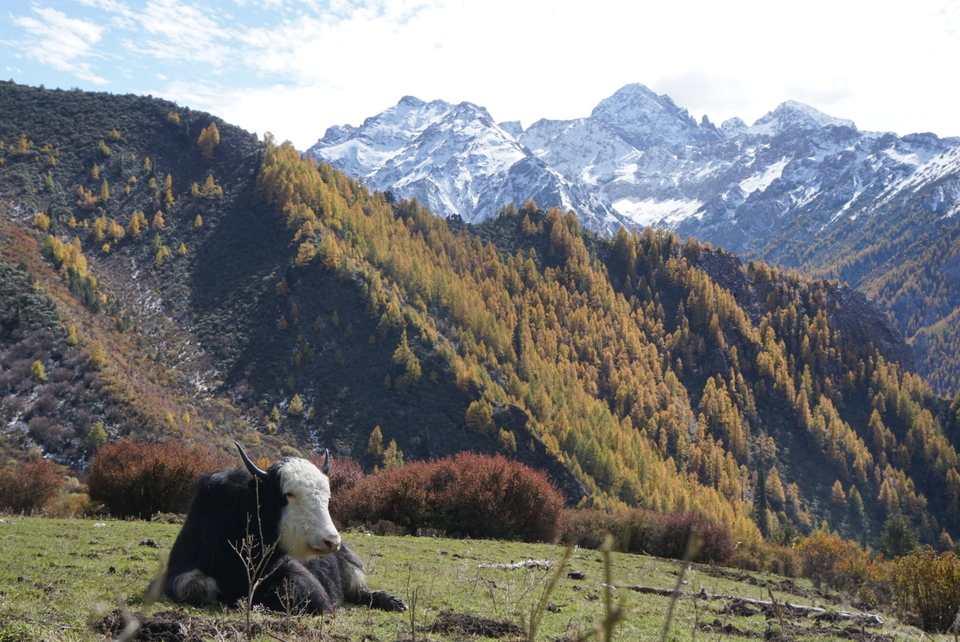 3C717B5F-FD2A-494E-B0EE-CB53DE89235E-2201-00000334F24FE538_tmp