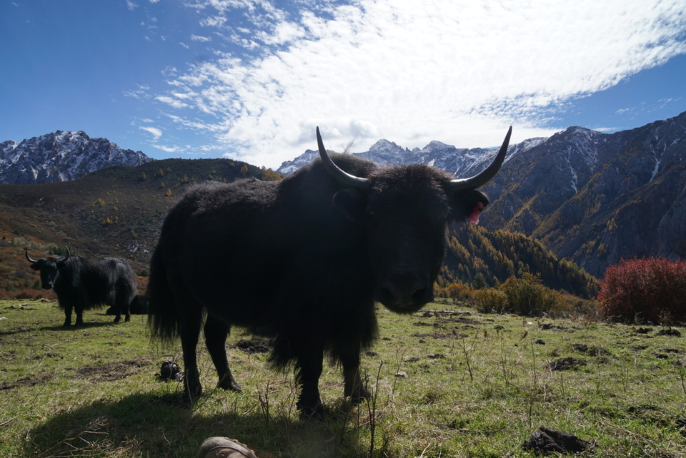 75F12327-F781-4F3D-9BA7-1D5D37E1262D-2201-00000334E5D0BD5A_tmp