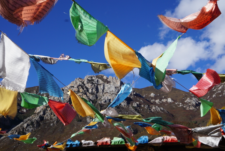 6FE554A9-94D3-4E27-88F9-A5EC6939D05A-2201-00000335740BF133_tmp