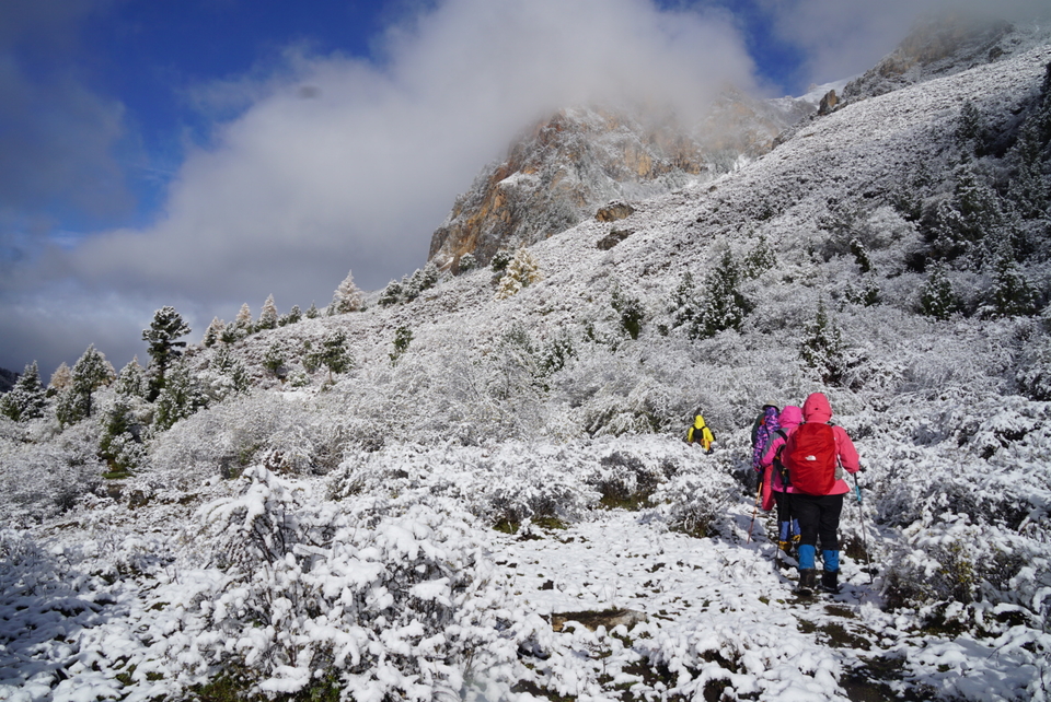 1545B93B-9B2C-4891-9A94-80127C6AF8F1-2201-000003358B99D69C_tmp