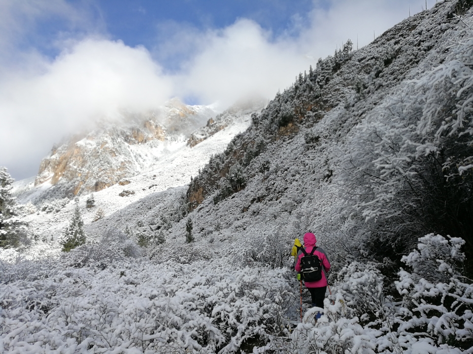 0C3F3646-9A1B-455F-B21D-1331DA7282A1-2201-00000331D679A83E_tmp