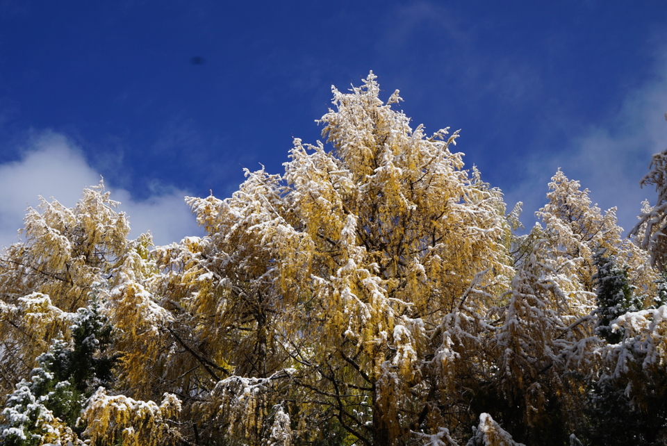 FFCAA62E-1F19-45B7-9D9F-BFA5209156D6-2201-00000335DC07C507_tmp