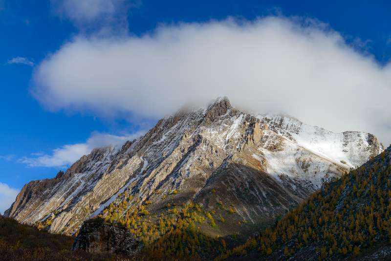 0E55C0DB-6B0D-4C03-A875-178F5C3DAB37-2201-0000033A4B83235D_tmp