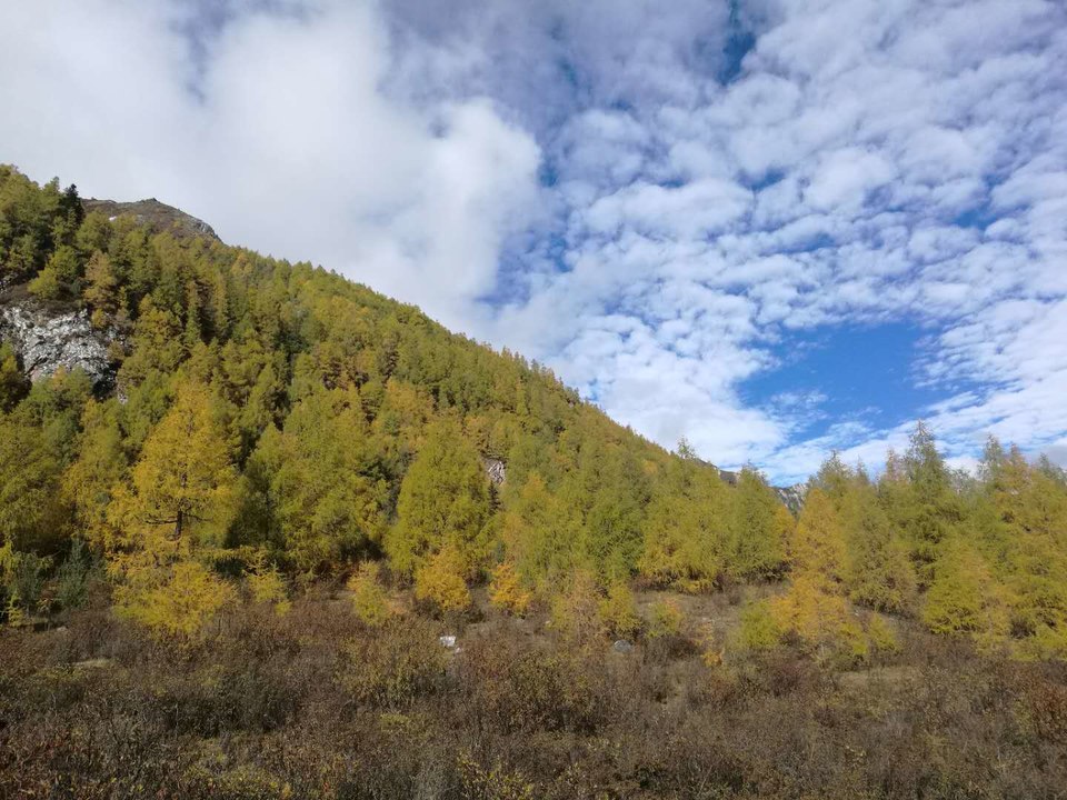 7172D0ED-34F7-49AB-93DB-B98210154E15-2201-0000033B70186122_tmp