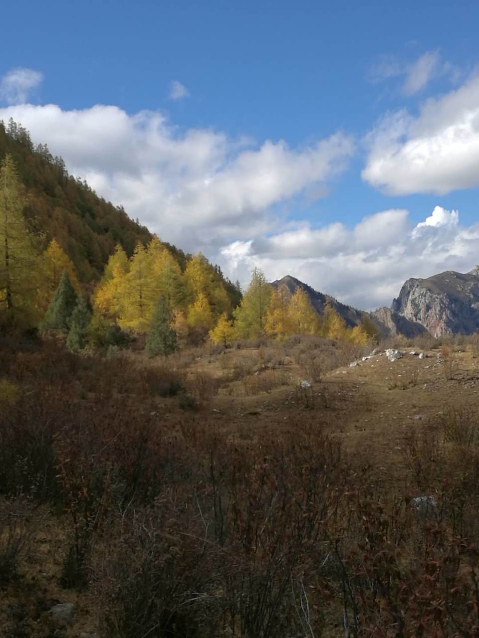 0E0F247A-A382-4FC8-A043-F609FA1E10EC-2201-0000033B81ABAC3A_tmp