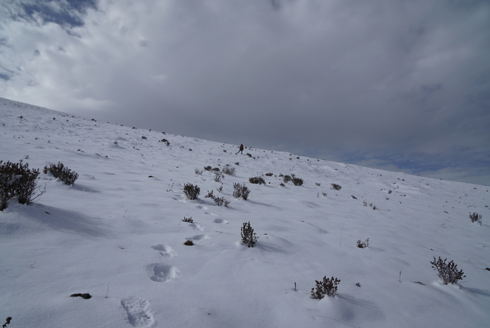 7FA9F4B3-EC94-483E-9370-899DA2F12E5E-2201-00000333D335413D_tmp