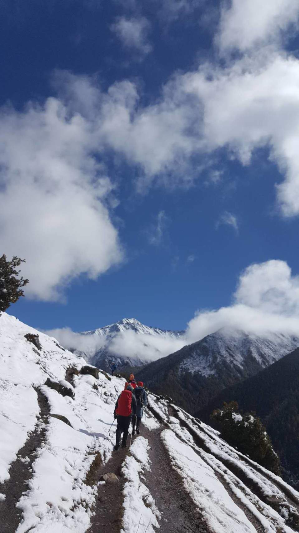 CD8E8E11-20FB-4C0F-9368-0D2BCE19C824-1067-00000263EA6F3E45_tmp