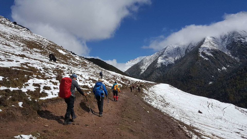 725B5E0A-CC21-4502-9435-F0FF62D0F74B-1067-00000263EFCC9444_tmp