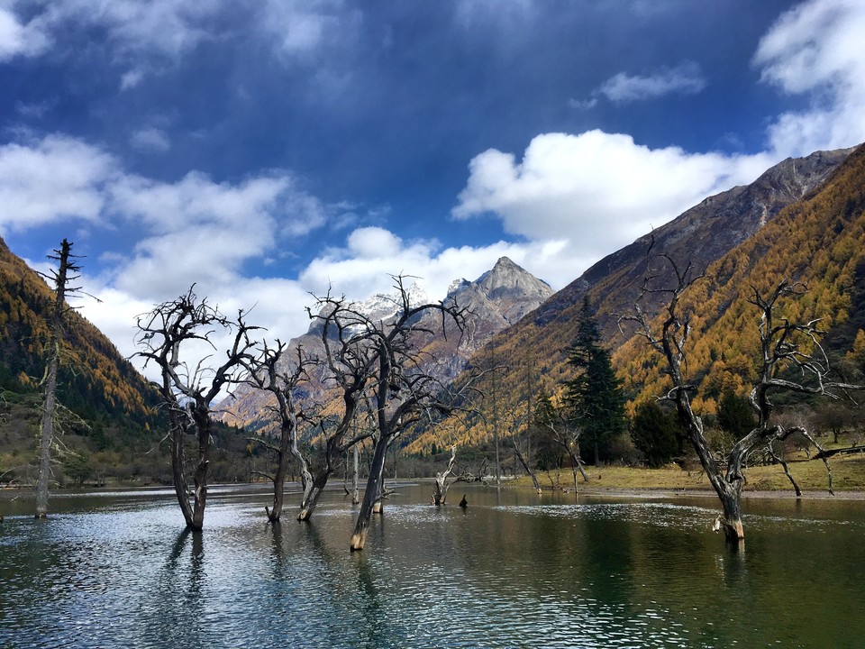 6FCEF8DC-B47E-4A42-AEE0-9B28ABCDF2F3-4616-00000696A96C6ABB_tmp