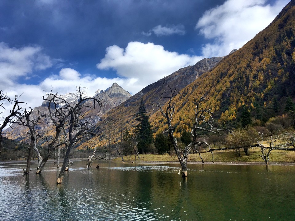 5A979F3C-6124-4338-956F-31FDF10950BC-4616-00000696CD91BAAF_tmp