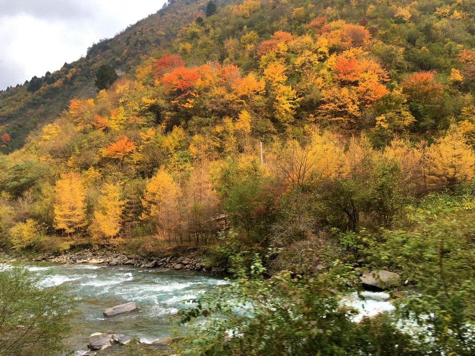 7077D0ED-0D7F-446E-9FFE-4C413BD0095B-4616-00000696C0314B43_tmp