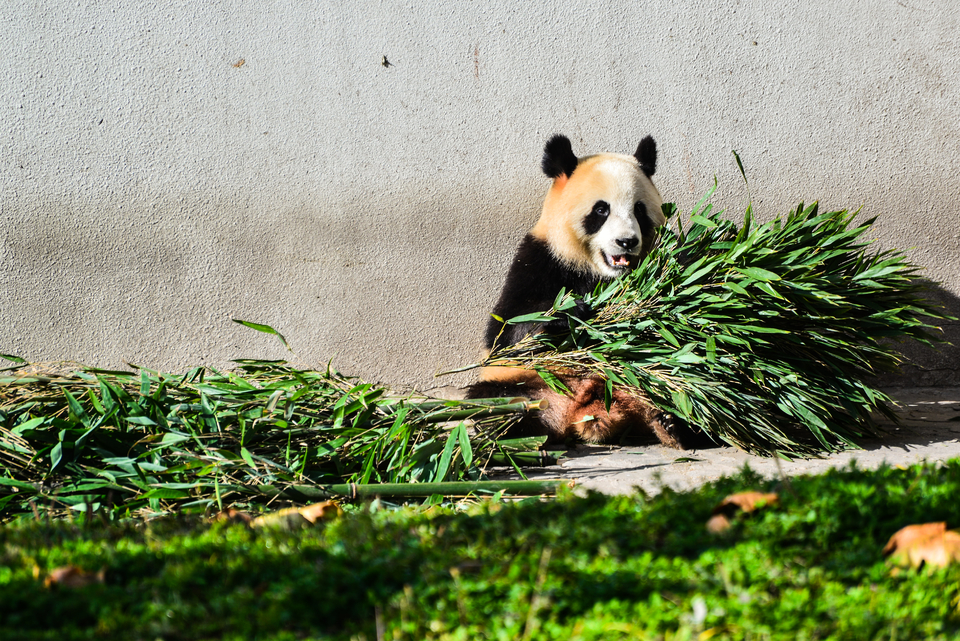 80CBCBE7-B7B3-4348-8E6E-EEB4803DAC84-5046-000007151FBAC2D7_tmp