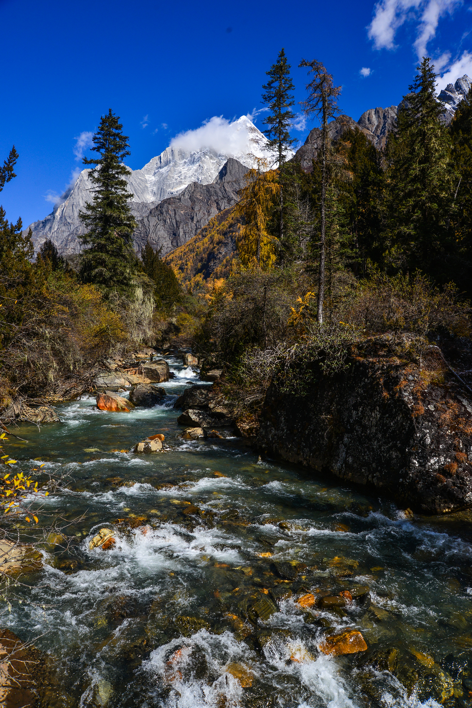 5CC1EE58-9333-4750-A596-283E3C40E7CD-5046-0000071541F2AD3F_tmp