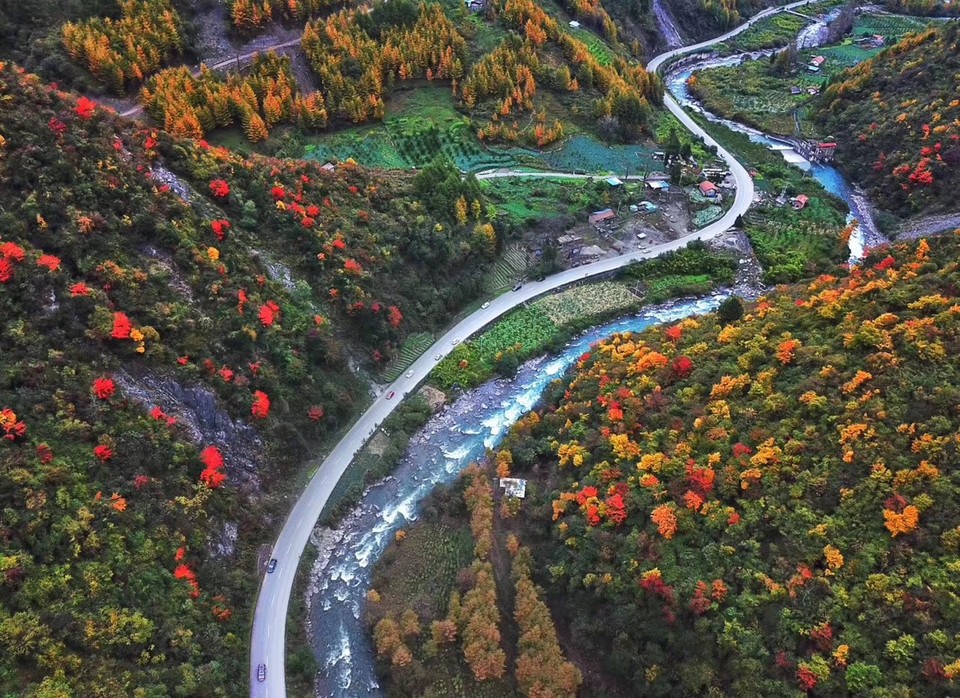 91ED9D7B-7B0C-404C-A1DD-529091EC53A2-5046-0000071584EB768F_tmp