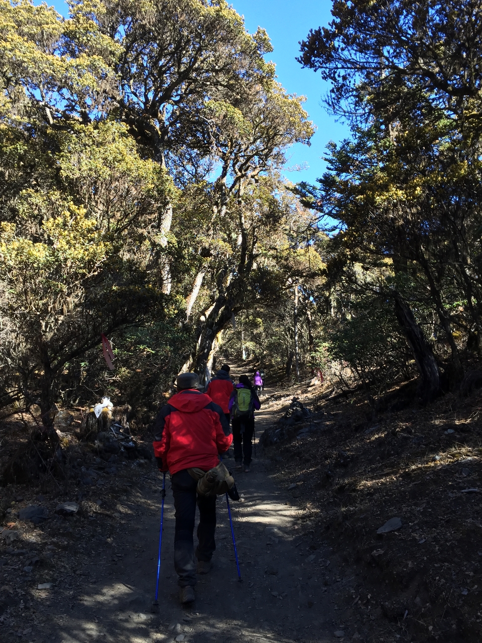 84AD6BE7-3809-4CB3-9CEE-9E5740C57209-243-0000001268C28523_tmp