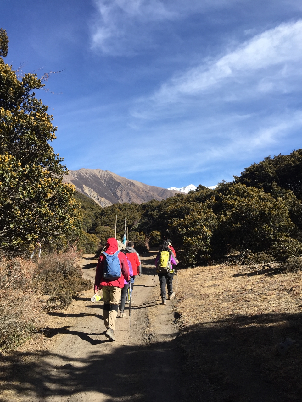 C71D8803-255A-4196-AEC1-461C9BADA07C-243-0000001233DF34D1_tmp