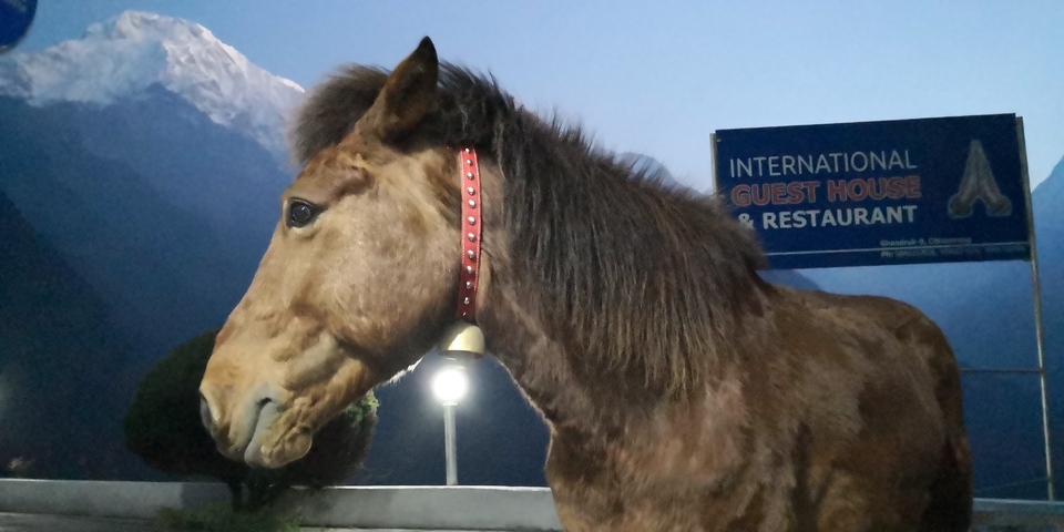 EBDE4207-ED91-4FEE-8A10-ED75DEEE62B8-1134-000001BFD4F44707_tmp