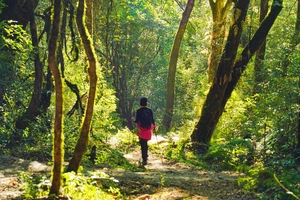 【秘境高黎贡】重走茶马古道+高黎贡山+腾冲银杏+百花岭5日