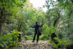 【秘境高黎贡】重走远征之路 高黎贡山 百花岭+毛毛球森林+腾冲轻徒步5日