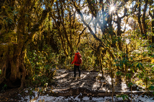 【秘境高黎贡】重走远征之路 高黎贡山 百花岭+毛毛球森林+打鹰山+腾冲轻徒步5日
