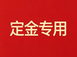 定金专用链接