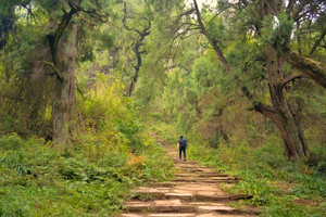【金牛古道】金牛古道+剑门关 +千佛崖+汉阳铺轻徒步3日