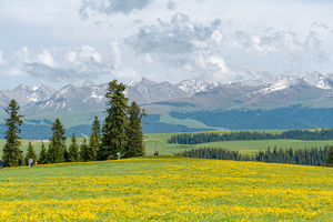 【伊犁环线】夏塔+喀拉峻+孟克特小天湖轻徒步探索之旅6日 ·10人小团