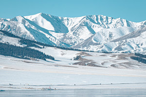 【冰雪伊犁】赛里木湖+喀拉峻+玉湖+库尔德宁+那拉提+天鹅泉休闲7日之旅·2-6人团