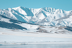 【冰雪伊犁】赛里木湖+喀拉峻+玉湖+库尔德宁+那拉提+天鹅泉休闲7日之旅·2-6人团