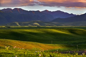 【走进祁连】乌鞘岭-柴尔龙海-冰沟河-八宝河谷-汉明长城遗址-山丹军马场-祁连山草原穿越轻徒步6日