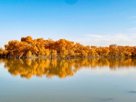 【金秋南疆】博斯腾湖+胡杨林+沙漠公路+约特干故城+喀什古城+白沙湖+喀拉库勒湖+帕米尔高休闲游8日（3-6人团）