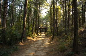 【金牛古道】金牛古道+剑门关+昭化古城轻徒步5日