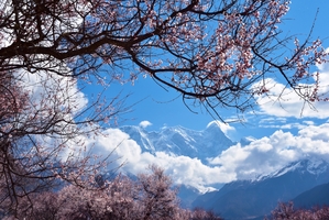【藏东秘境】林芝桃花+雅鲁藏布大峡谷+墨脱雨林+白普隆沟轻徒步7日·越野车小团