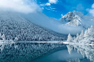 【九黄毕达】毕棚沟+达古冰川+九寨沟+黄龙4日游