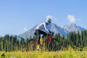 圆梦独库公路，经典七天骑行穿越四季，单车丈量南北疆