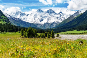 【伊犁大环线】伊昭公路+乔尔玛独库中段+夏塔+喀拉峻+赛里木湖+唐布拉+那拉提+库尔德宁深度7日游2-6小团