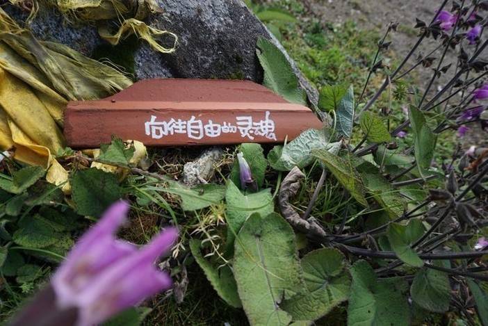 在贡嘎，遗憾之美