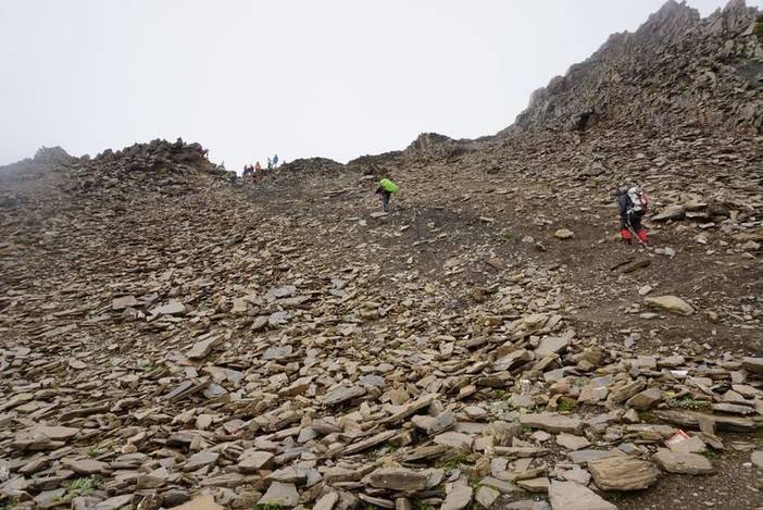 在贡嘎，遗憾之美