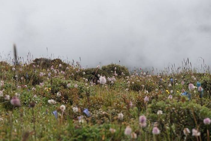 在贡嘎，遗憾之美