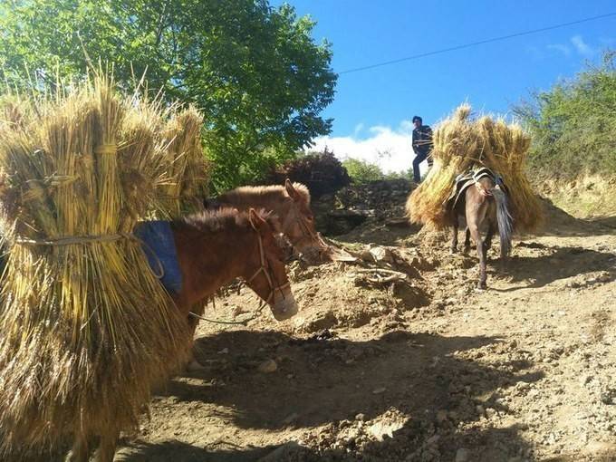 一生要走一次 天堂与地狱间的穿越 —— 洛克线