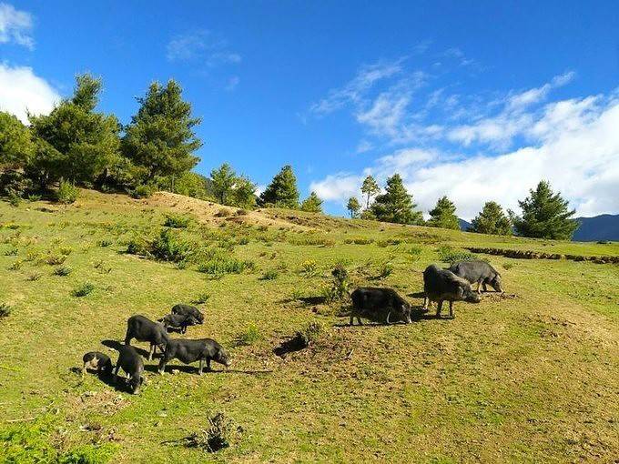 一生要走一次 天堂与地狱间的穿越 —— 洛克线