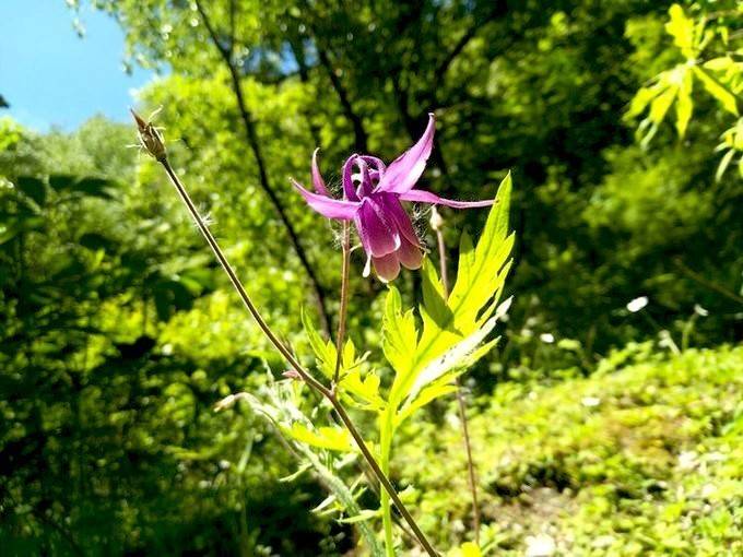 一生要走一次 天堂与地狱间的穿越 —— 洛克线