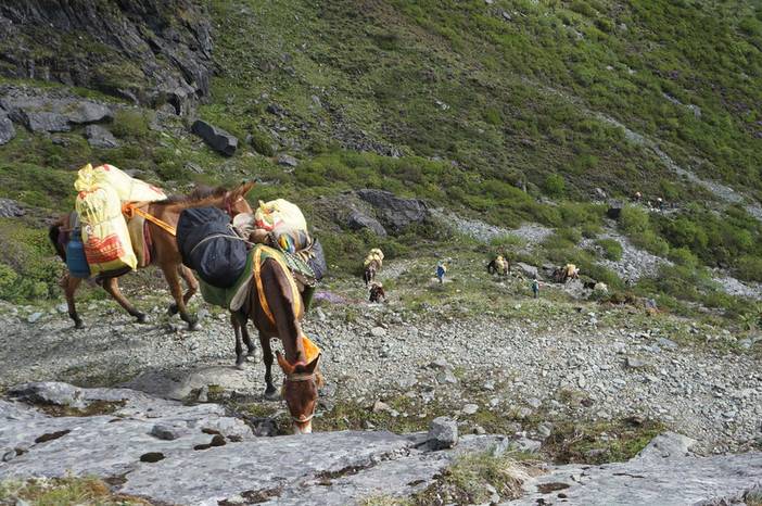 任何的限制都是从自己内心的开始
