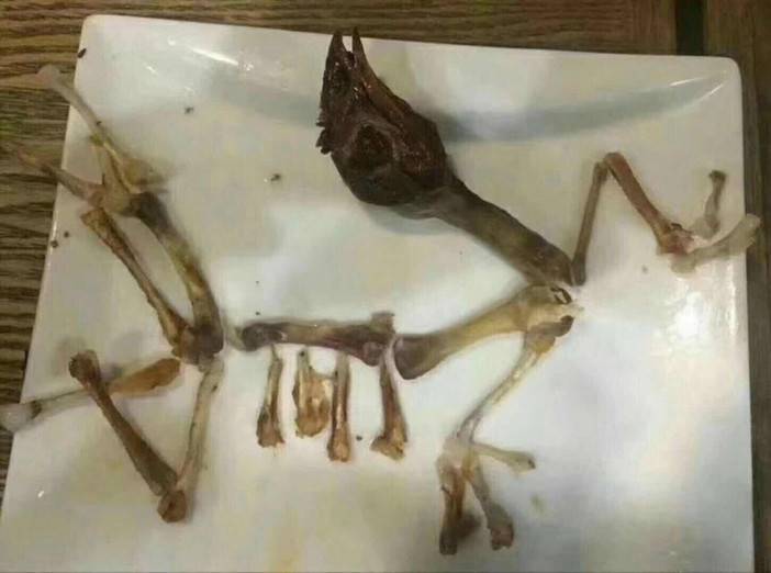 任何的限制都是从自己内心的开始