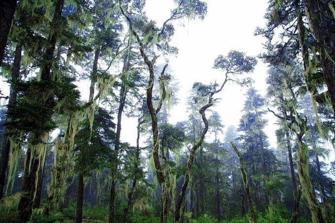 一生要走一次 天堂与地狱间的穿越 —— 洛克线