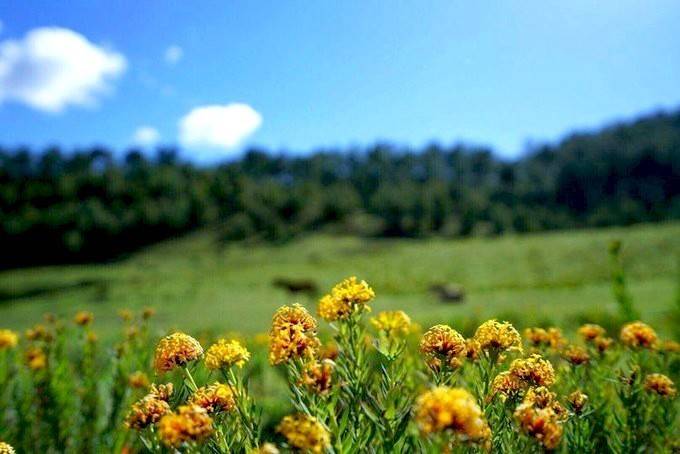 一生要走一次 天堂与地狱间的穿越 —— 洛克线