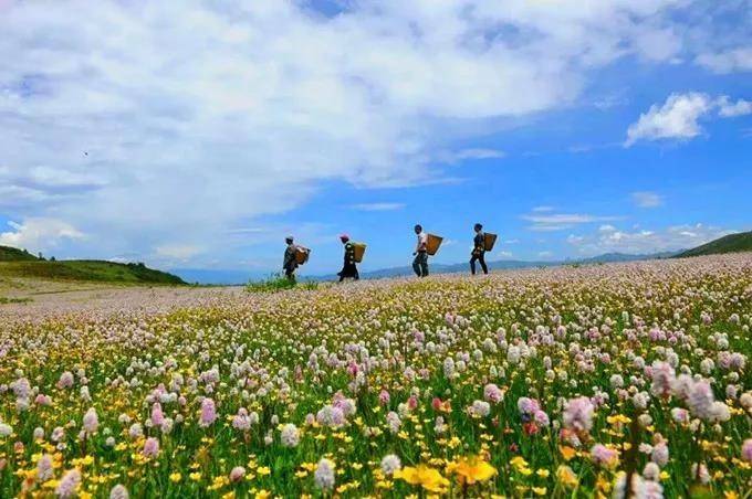 任何的限制都是从自己内心的开始