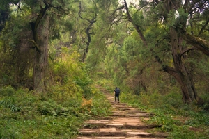 【金牛古道】金牛古道+拦马墙+汉源桥+汉阳铺轻徒步3日